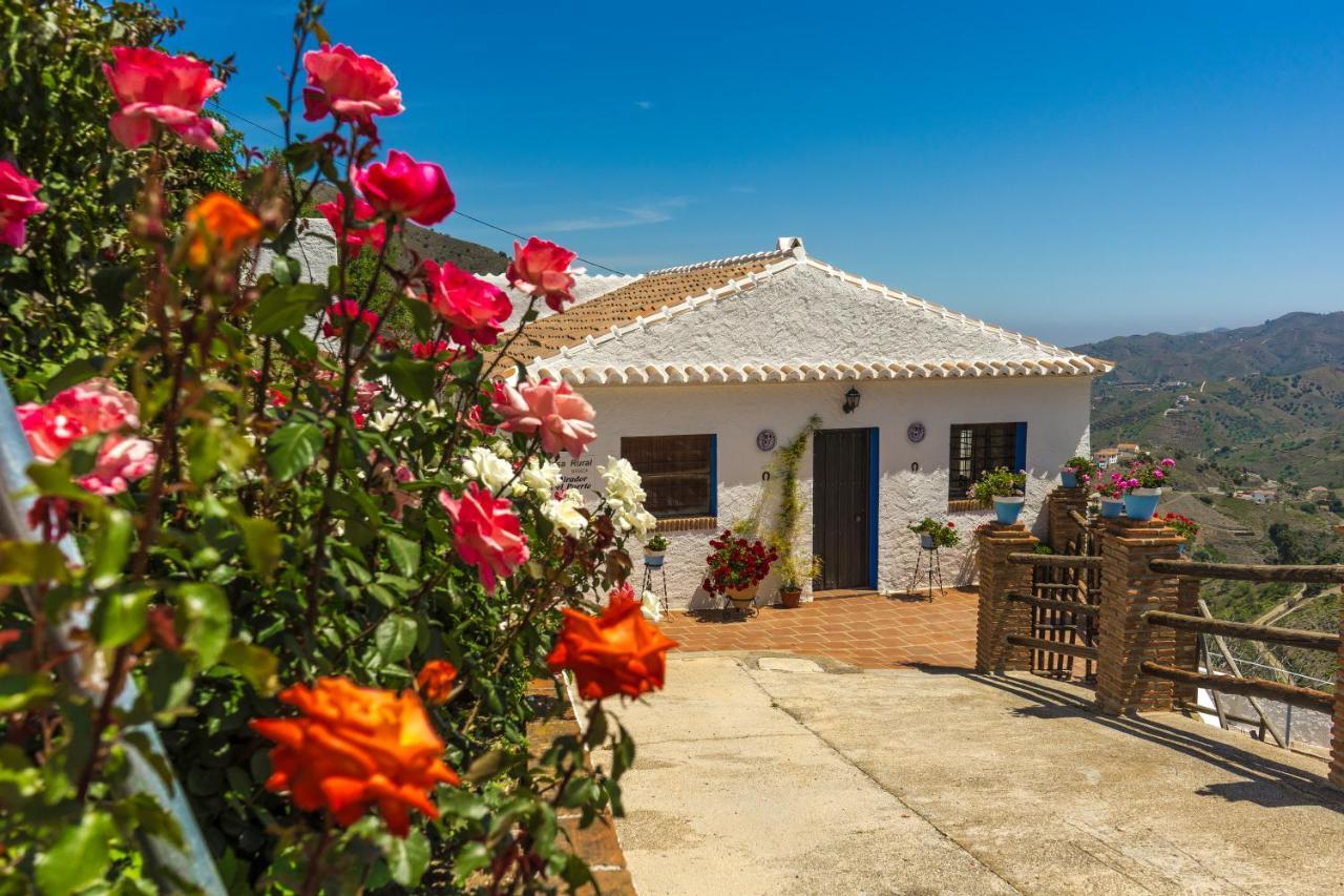 Villa Romantic Winehouse With Fireplace, Wifi, Close To Malaga à Borge Extérieur photo