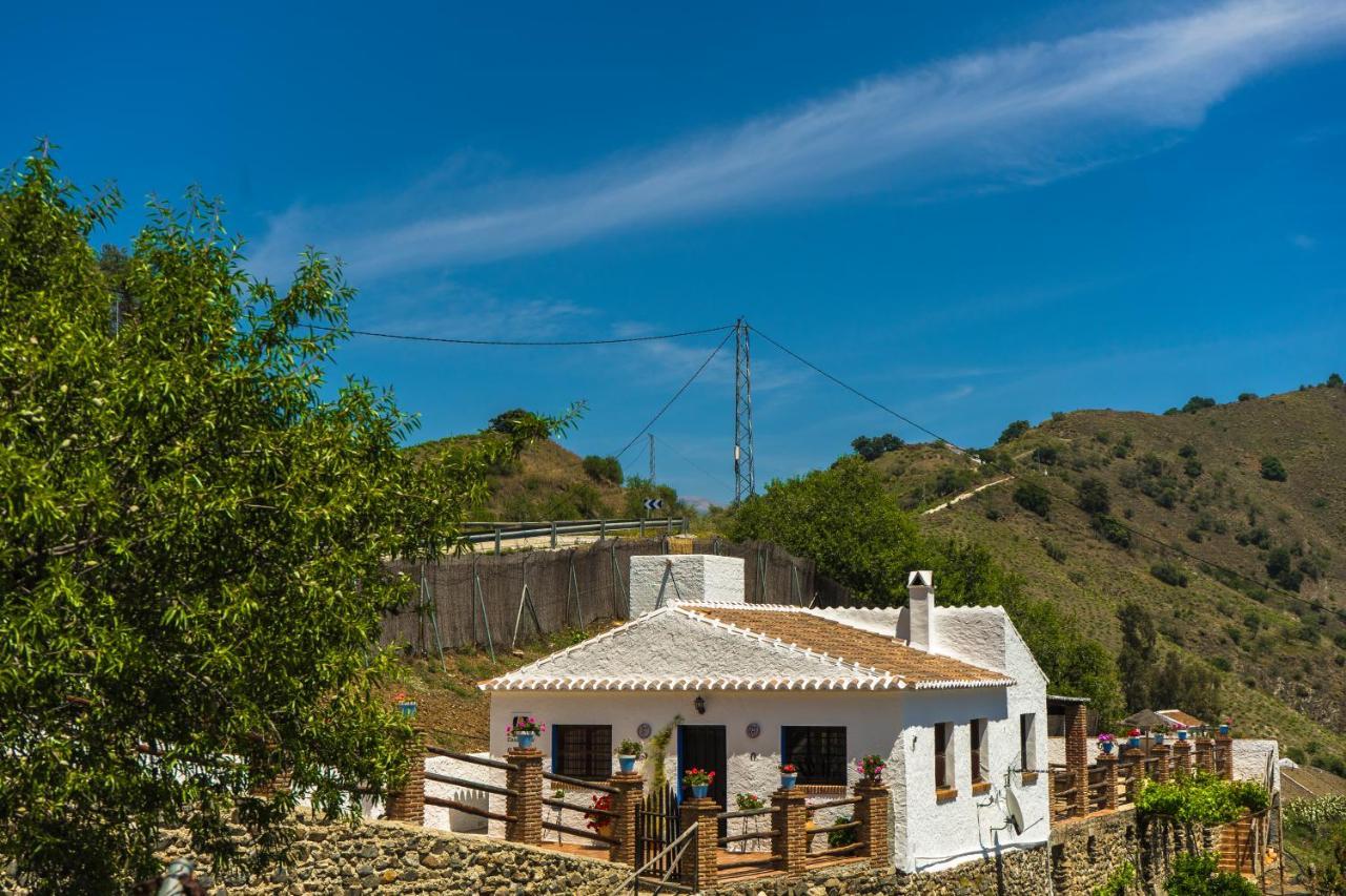 Villa Romantic Winehouse With Fireplace, Wifi, Close To Malaga à Borge Extérieur photo